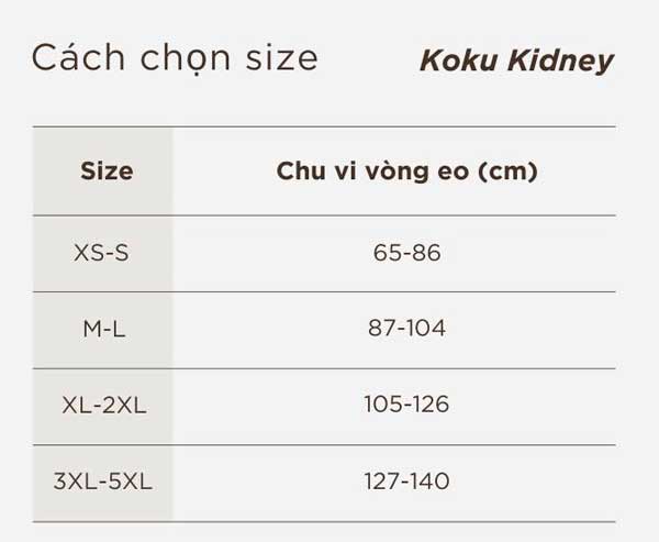 Đai lưng LS2 Koku - Giáp bảo vệ lưng LS2 Koku đi mô tô xe máy